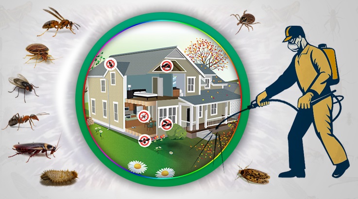 Şarkikaraağaç Böcek İlaçlama